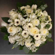 White solemnity (Compact)